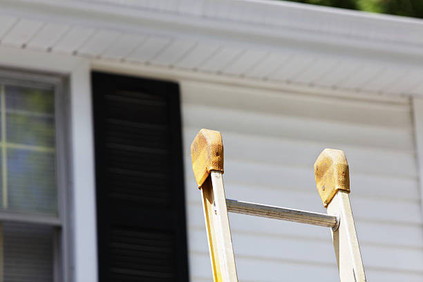 Best Vinyl Siding Installation  in Howard Lake, MN